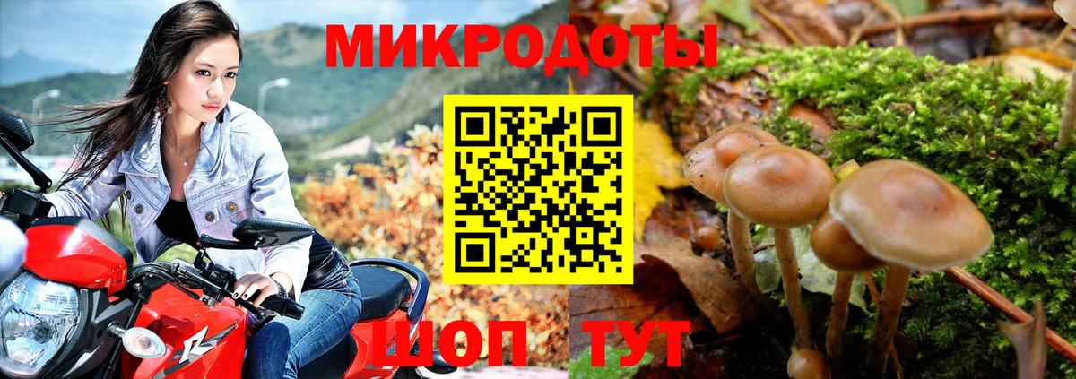 Вязьма  Галлюциногенные грибы Psilocybe  Вход с VPN 